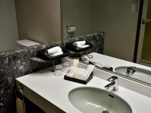 a bathroom with a sink and a mirror at Tanegashima Iwasaki Hotel in Minamitane