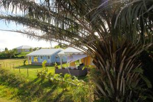 una casa blu in un campo con una palma di La Ferme des Etangs a Rivière-Salée