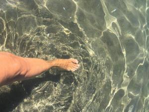 ヴァッレドーリアにあるStella Marinaの水中に突き出した腕