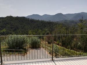 Paesaggio naturale nelle vicinanze dell'agriturismo