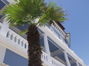 a palm tree in front of a building at Hotel Park in Lovran