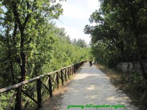 Priroda u blizini of the country house
