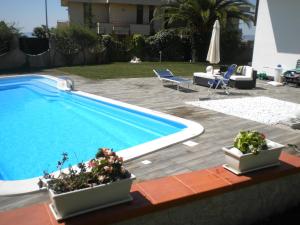 a swimming pool with two potted plants next to it at Domusangeladue in Matera