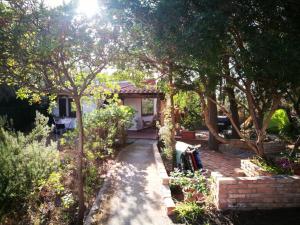 A garden outside Tiny House