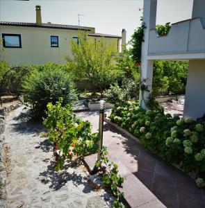 Zahrada ubytování B&B Gianni e Pia