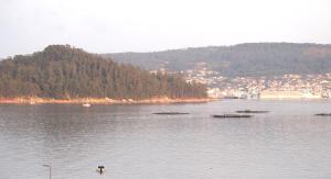 Fotografie z fotogalerie ubytování Apartment Covelo v destinaci Samieira