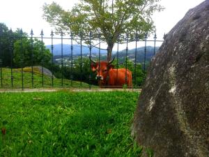 a cow standing behind a fence in a field at Quinta da Toural in Arcos de Valdevez