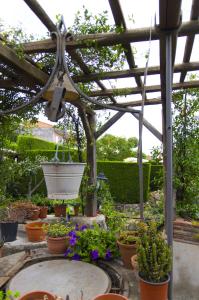 einen Garten mit Topfpflanzen und einer hölzernen Pergola in der Unterkunft Etma in SantʼAlfio