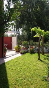 Vrt pred nastanitvijo B&B Le Stagioni