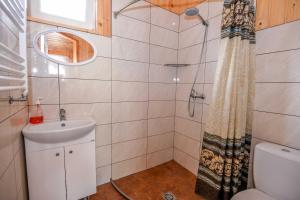 Koupelna v ubytování Sodyba Džiugutis + 37 fotografií