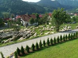 Gallery image of Pokoje u Celinki in Szczawnica