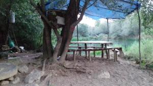 Природа поблизу the country house