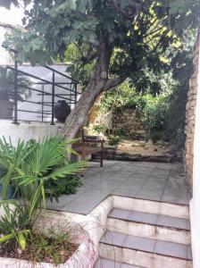 un árbol y un banco sentados bajo un árbol en Maison Ancienne Minervois, en La Caunette