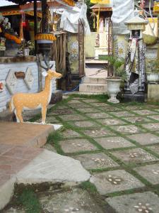 Fotografie z fotogalerie ubytování Taman Ayu Homestay Munduk Mitra RedDoorz v destinaci Munduk