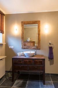 een badkamer met een wastafel en een spiegel bij Chez Maintje in Bassevelde