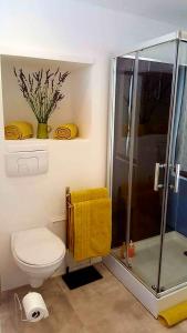 uma casa de banho com um WC e um chuveiro com uma toalha amarela em Forcal em Forcalquier