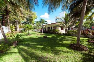 un patio con palmeras y una casa en Casa Anita en Puerto Morelos