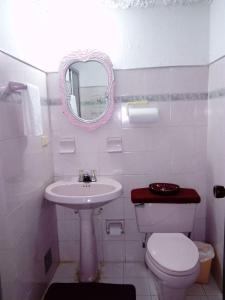 a bathroom with a sink and a toilet and a mirror at Finca La Esperanza Loma Linda in San Francisco