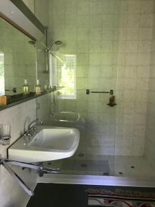 TricesimoにあるLa Casa Blu di Monastetoのバスルーム(洗面台、ガラス張りのシャワー付)