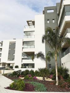 a building with a palm tree in front of it at Altos del Mediterraneo La Zenia in Los Dolses