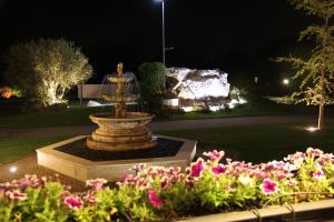 Zahrada ubytování Albergo Aurora