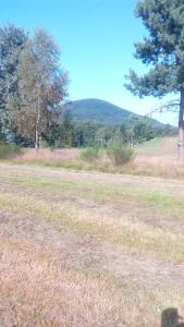 Paesaggio naturale nelle vicinanze dell'affittacamere