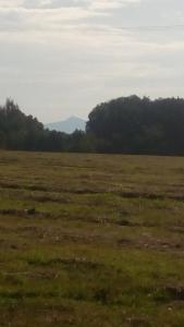Paesaggio naturale nelle vicinanze dell'affittacamere