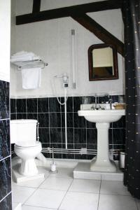 a bathroom with a toilet and a sink at Au Château Des Thermes in Saint-Amand-les-Eaux