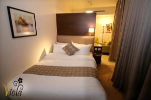 Gallery image of Viola Hotel Suites in Amman