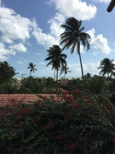 a group of palm trees and flowers in a garden at Pousada Corais dos Arrecifes in São Miguel do Gostoso