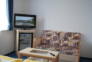 TV a/nebo společenská místnost v ubytování Főnix Hotel