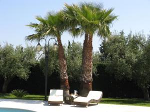 2 palmiers, une table et des chaises dans un parc dans l'établissement B&B Villa Vittoria, à Maglie