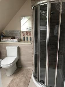 a bathroom with a toilet and a shower at Whitehill in Finzean