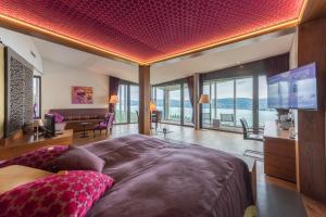 TV a/nebo společenská místnost v ubytování Hotel Belvoir Lake View & Spa