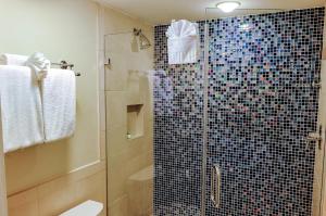 a bathroom with a shower with a glass door at Silver Palms Inn in Key West
