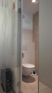 a bathroom with a toilet and a glass shower door at Studio Hofer in Bad Zell