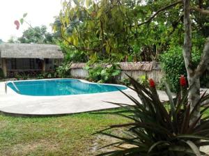 a swimming pool in a yard next to a house at Hostería Mindo Samay Juku in Mindo
