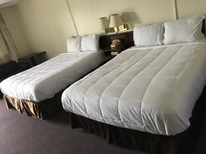 dwa łóżka siedzące obok siebie w pokoju hotelowym w obiekcie Blue Note Motor Inn w mieście Marietta