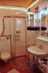 a bathroom with a shower and a toilet and a sink at Gabis Lodge in Krimml