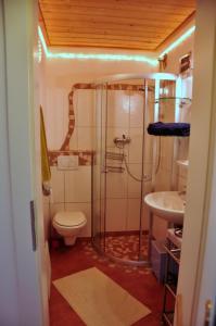 a bathroom with a shower and a toilet and a sink at Gabis Lodge in Krimml