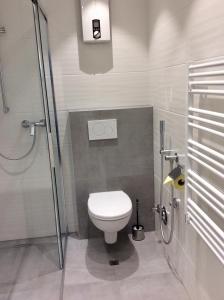 une salle de bain avec toilettes et douche dans l'établissement Studio Hanna, à Kaprun 13 autres photos