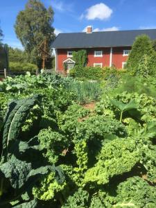Zahrada ubytování Torpgården Önnerudsvägen 56