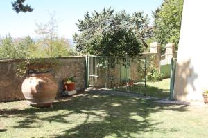 A garden outside Villa del Cardinale