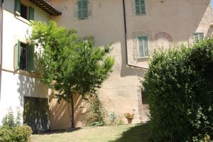 A garden outside Villa del Cardinale