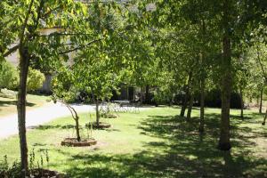 A garden outside Villa del Cardinale