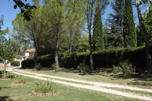 A garden outside Villa del Cardinale
