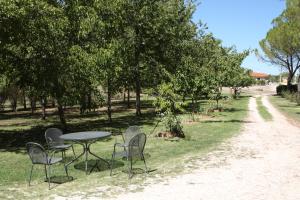 A garden outside Villa del Cardinale
