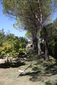 A garden outside Villa del Cardinale