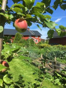 Zahrada ubytování Torpgården Önnerudsvägen 56