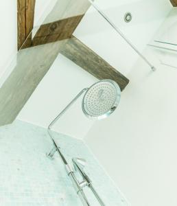 a shower in a bathroom with a glass ceiling at Restaurant-Hotel Maien in Lörrach